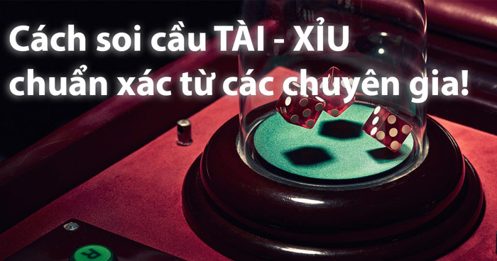 Thắng lớn Tài Xỉu F8BET: Kinh nghiệm chơi Tài Xỉu từ các cao thủ