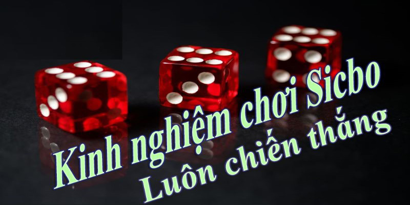 Thắng lớn Tài Xỉu F8BET: Kinh nghiệm chơi Tài Xỉu từ các cao thủ